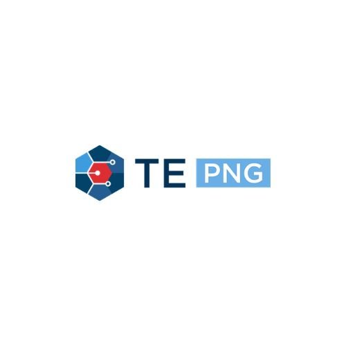 TE (PNG) LTD
